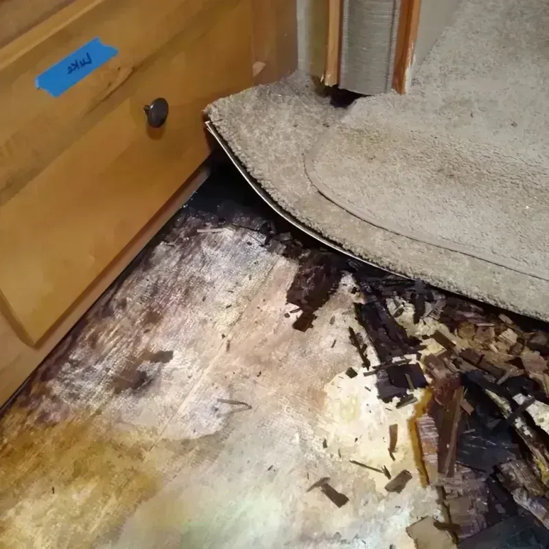 Best Wood Floor Water Damage Service in Port Aransas, TX